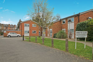 Photo 2- click for photo gallery